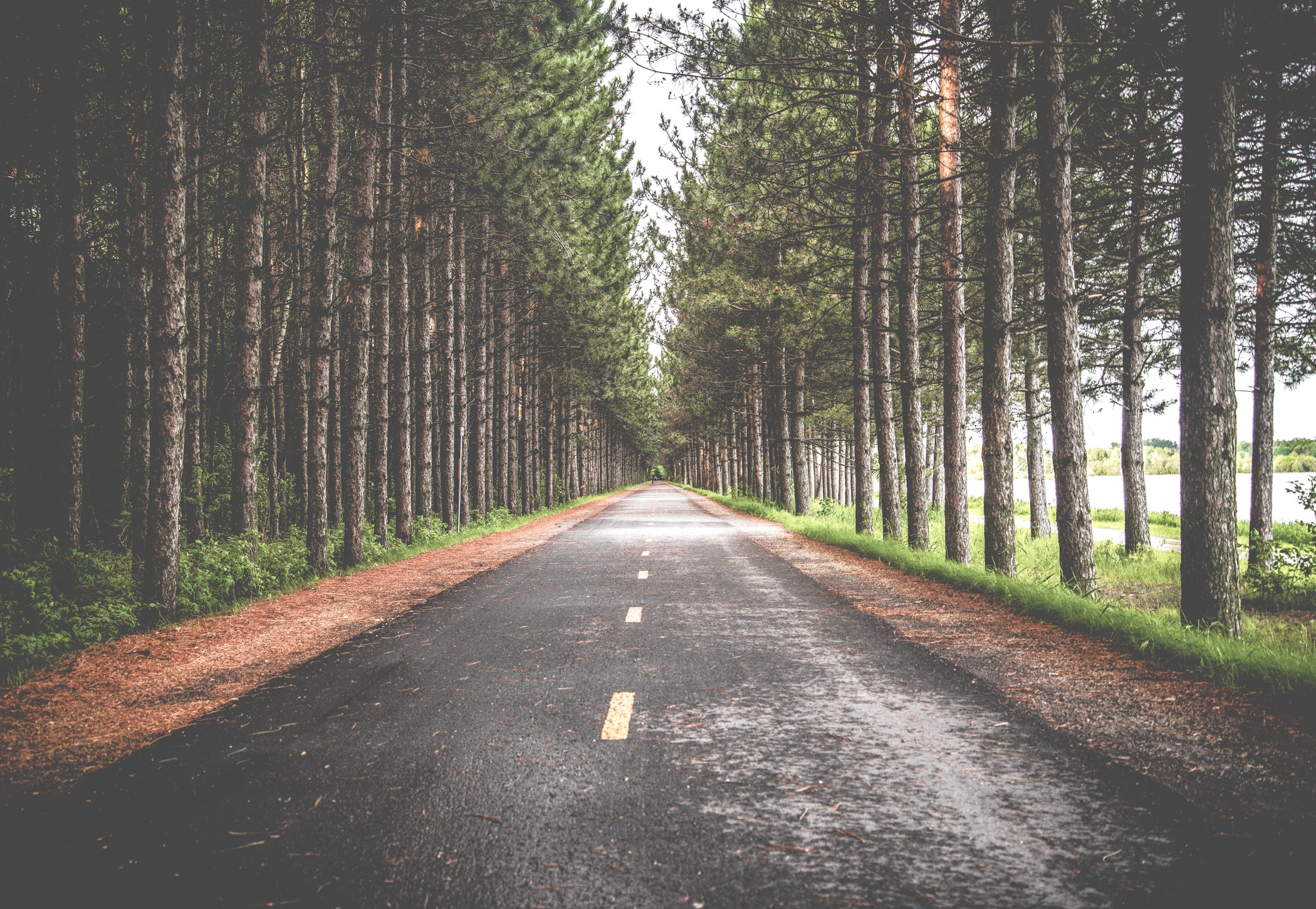 Road